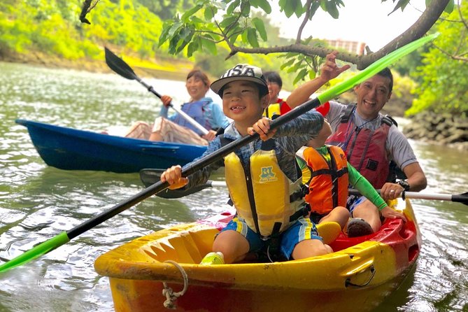 Mangrove Kayaking to Enjoy Nature in Okinawa - Logistical Details