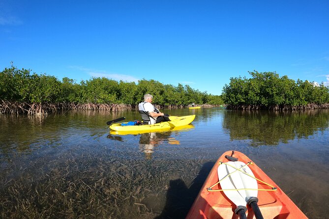 Mangrove Tunnel Kayak Adventure in Key Largo - Meeting Point Information