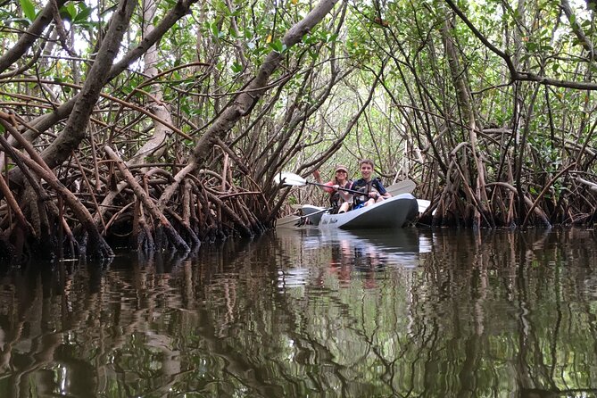 Mangrove Tunnel, Manatee and Dolphin Kayak Tour of Cocoa Beach - Wildlife Encounters
