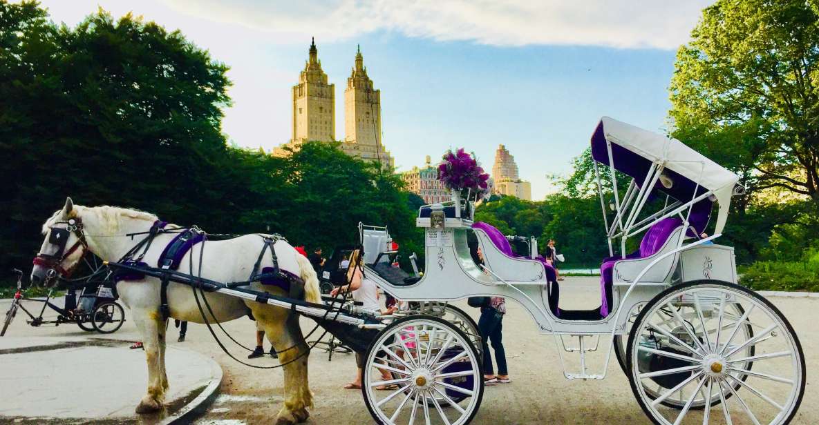 Manhattan: VIP Private Horse Carriage Ride in Central Park - Activity Duration and Guide