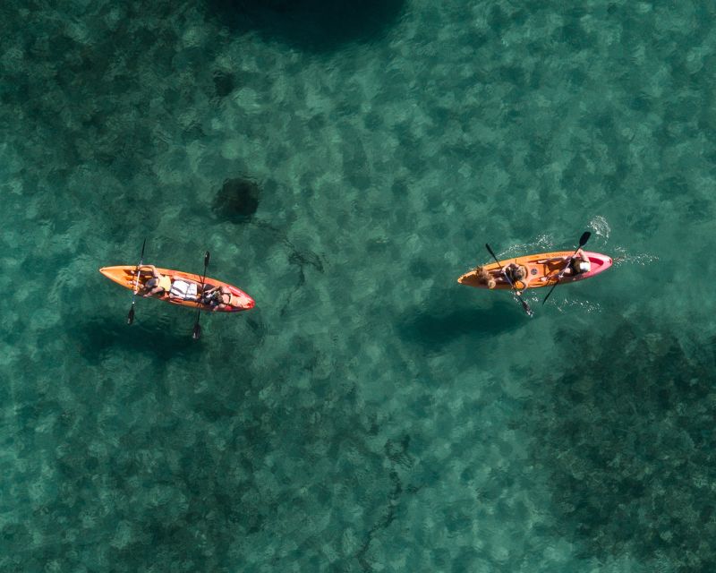 Manly: Mini Kayak Tour on Sydneys North Harbour - Highlights