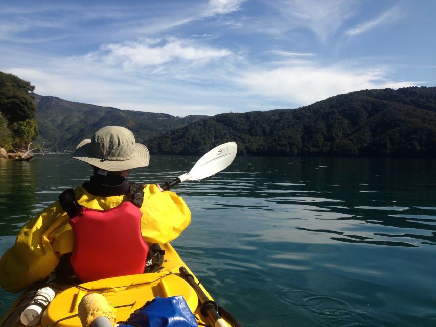 Marlborough Sounds: Full-Day Guided Kayak Tour With Lunch - Activity Description