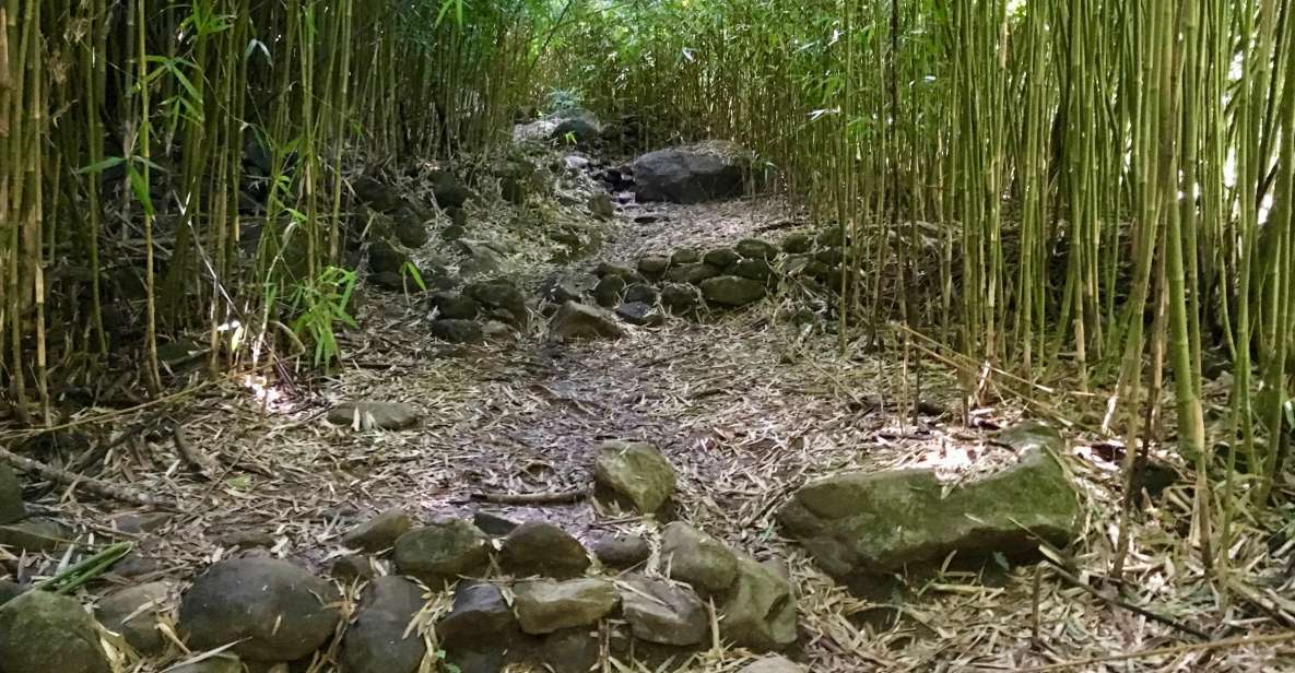 Maui: Private Jungle and Waterfalls Hiking Adventure - Recap