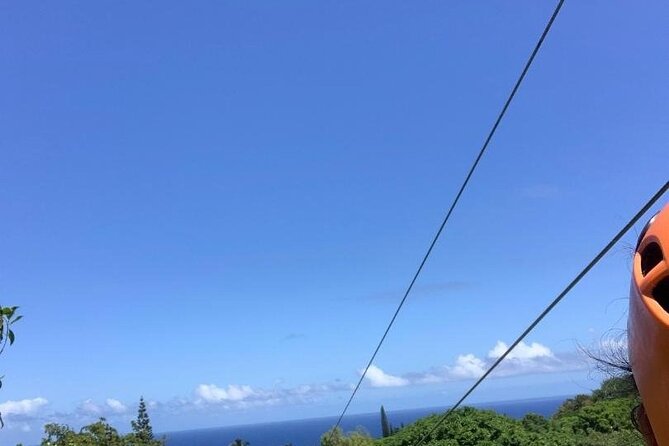 Maui Zipline Eco Tour - 8 Lines Through the Jungle - Reviews and Cancellation Policy
