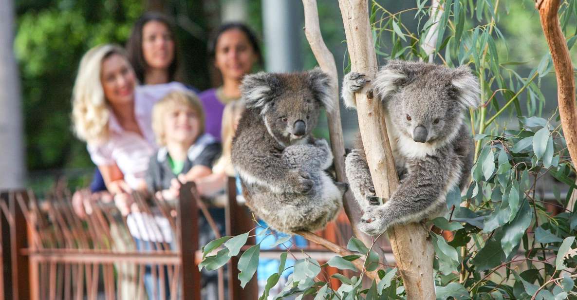 Melbourne: Zoo 1-Day Entry Ticket - Visitor Experience