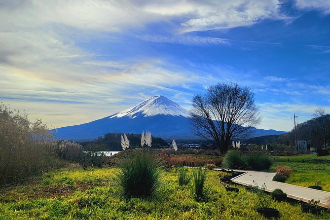 Mount Fuji and Hakone Full Day Private Sightseeing Tour - Entrance Fees