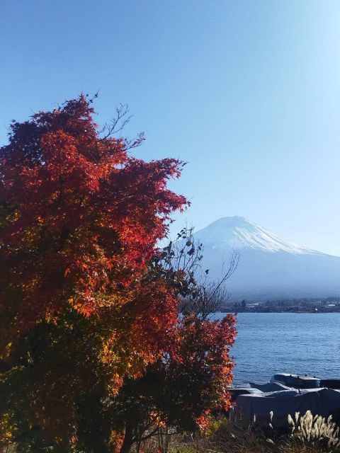 Mount Fuji-Lake Kawaguchi Private Tour With Bilingual Driver - Customizable Itinerary