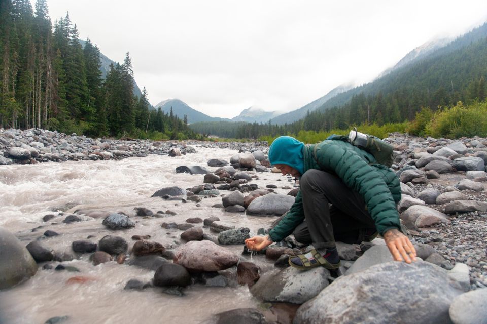 Mount Rainier National Park: Full Day Private Tour & Hike - Tour Highlights