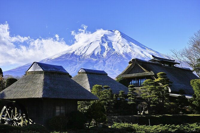 Mt Fuji :1-Day Private Tour With English-Speaking Driver - Included Services