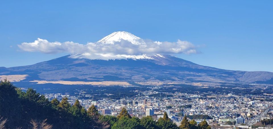 Mt Fuji and Hakone Private Tour With English Speaking Driver - Tour Highlights