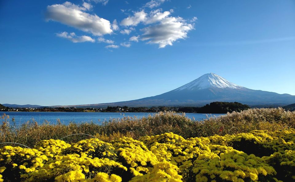 Mt Fuji: Full Day Private Tour With English Guide - Highlights
