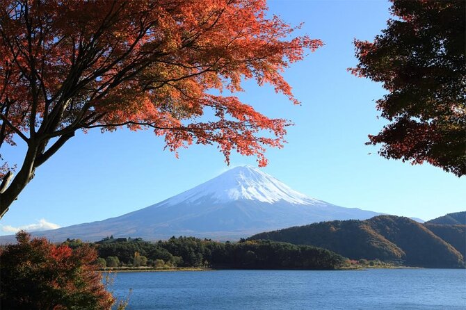 Mt. Fuji & Hakone 1 Day Bus Tour From Tokyo Station Area - Cancellation Policy