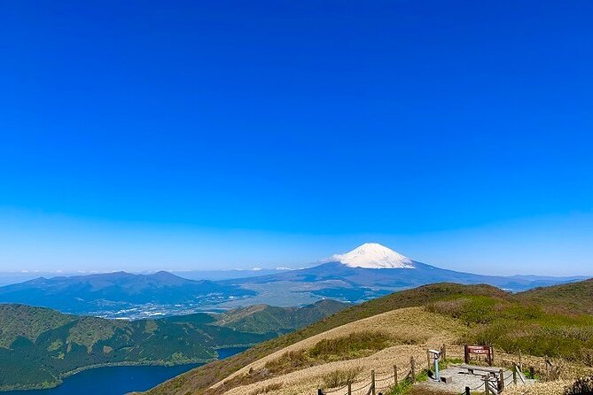 Mt. Fuji & Hakone Bullet Train 1 Day Tour From Tokyo Station Area - Key Sights