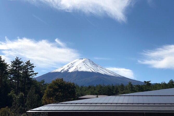 Mt. Fuji & Hakone Tour Tokyo Hotel Pick-Up & Drop-Off by Grayline - Additional Information