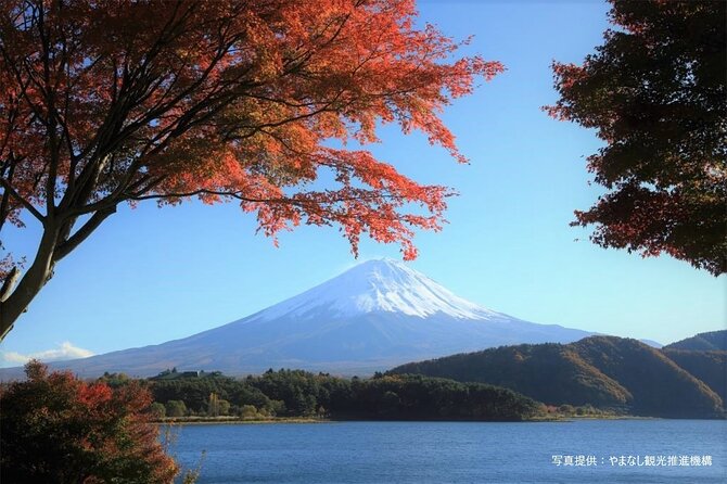 Mt.Fuji, Oishi Park & Arakurayama Sengen Park Bus Tour From Tokyo - Inclusions and Exclusions