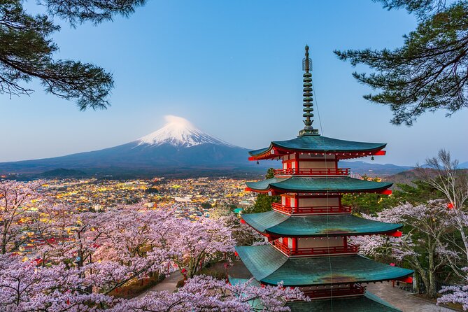 Mt. Fuji or Hakone Private Sightseeing Day Tour From Tokyo - Pickup and Drop-off