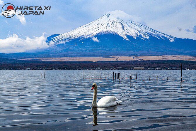 Mt. Fuji/ Private Tour Delivered and Guided by a Top-Tier Driver - Convenient Transportation and Amenities