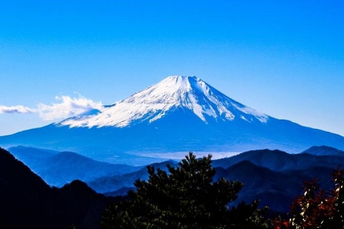 Mt. Fuji View and 2hours+ Free Time at Gotemba Premium Outlets - Itinerary Highlights