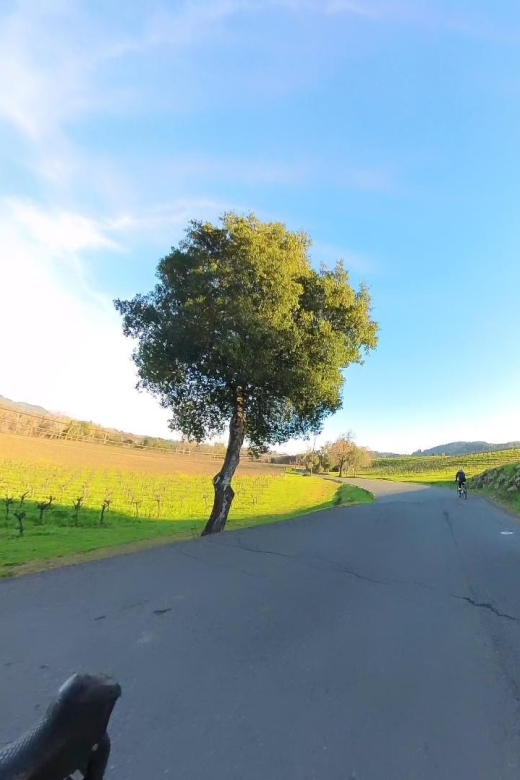 Napa/Sonoma: Guided Tour for Cycling Enthusiasts - Language Options and Group Size