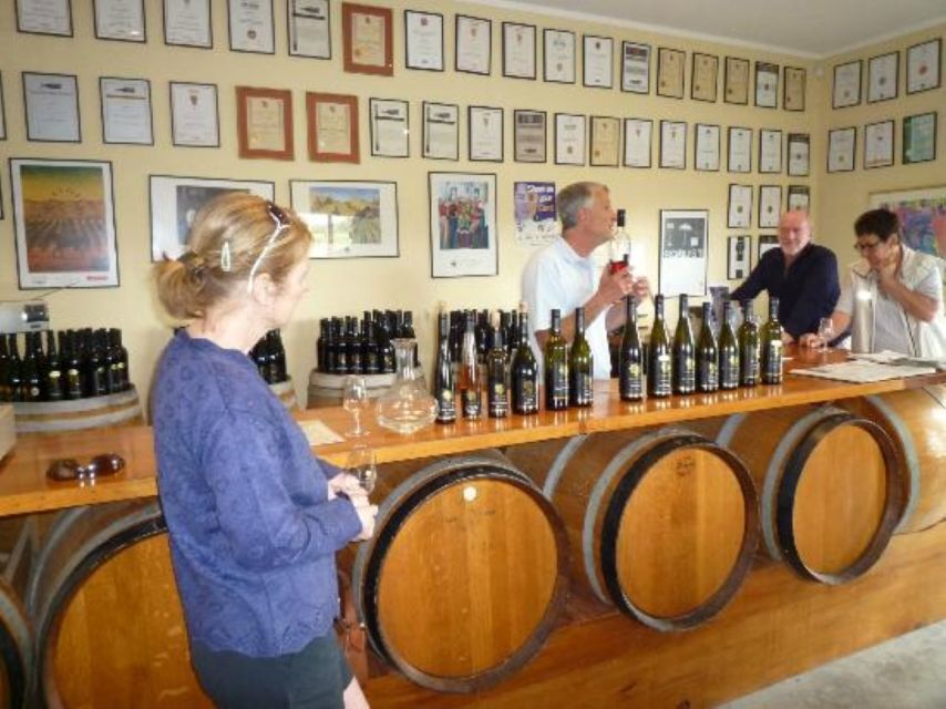 Napier: Afternoon Wine Gin Tasting Tour - Pricing and Duration