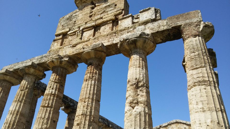 Naples: Drive to Paestum and Visit the Temples - Service Details and Itinerary