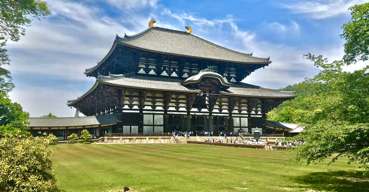 Nara: Todaiji and Nara Park (English Guide) - Itinerary