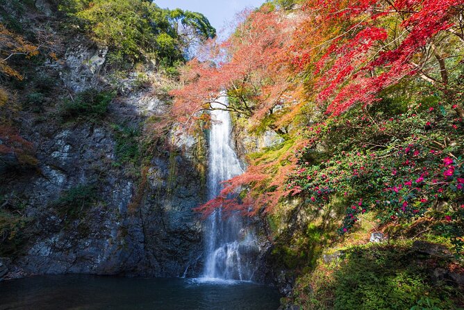 Nature Walk at Minoo Park, the Best Nature and Waterfall in Osaka - Guided Hike to Waterfall