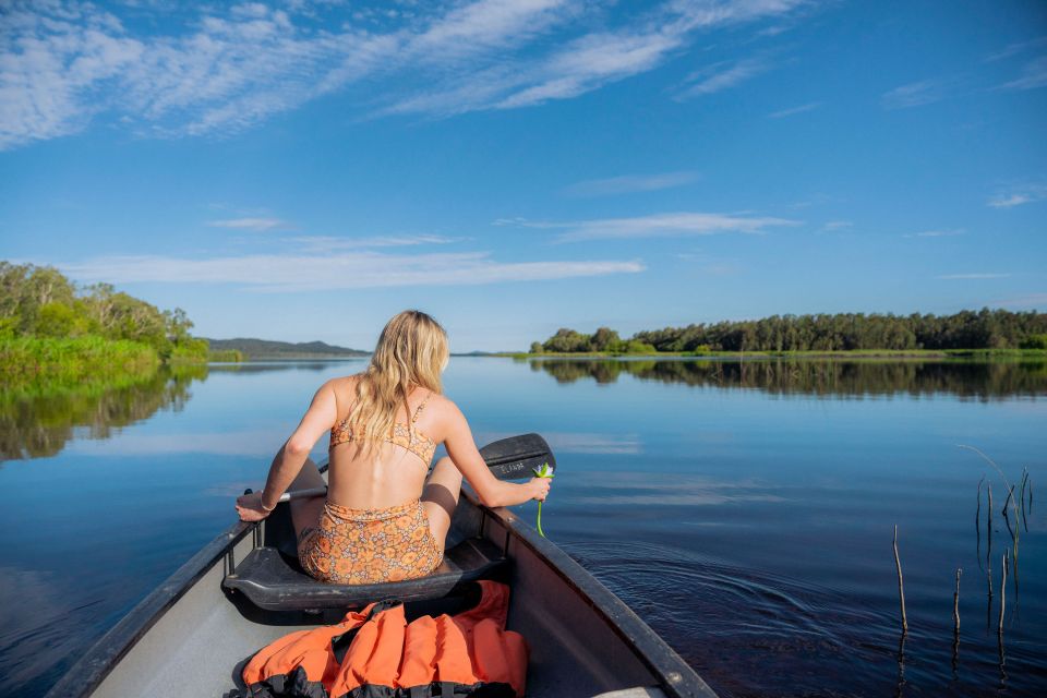 Noosa: Everglades Explorer Cruise With Optional Canoeing - Experience Description