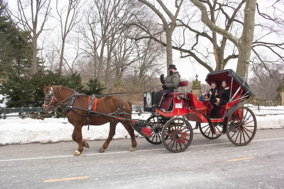 NYC Horse Carriage Ride in Central Park (65 Min) - Features Included