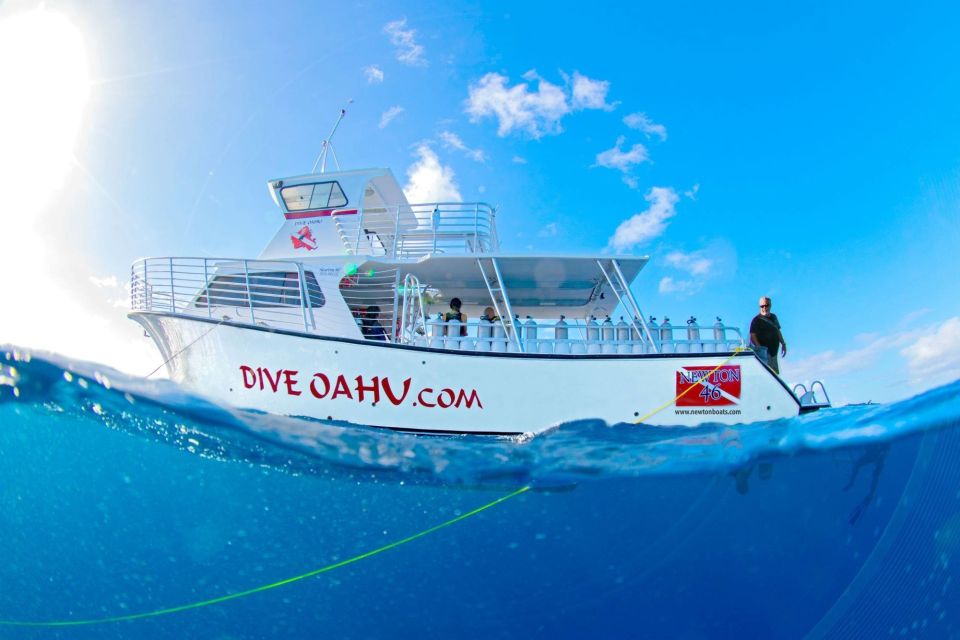Oahu: Shallow Reef Scuba Dive for Certified Divers - Price and Duration