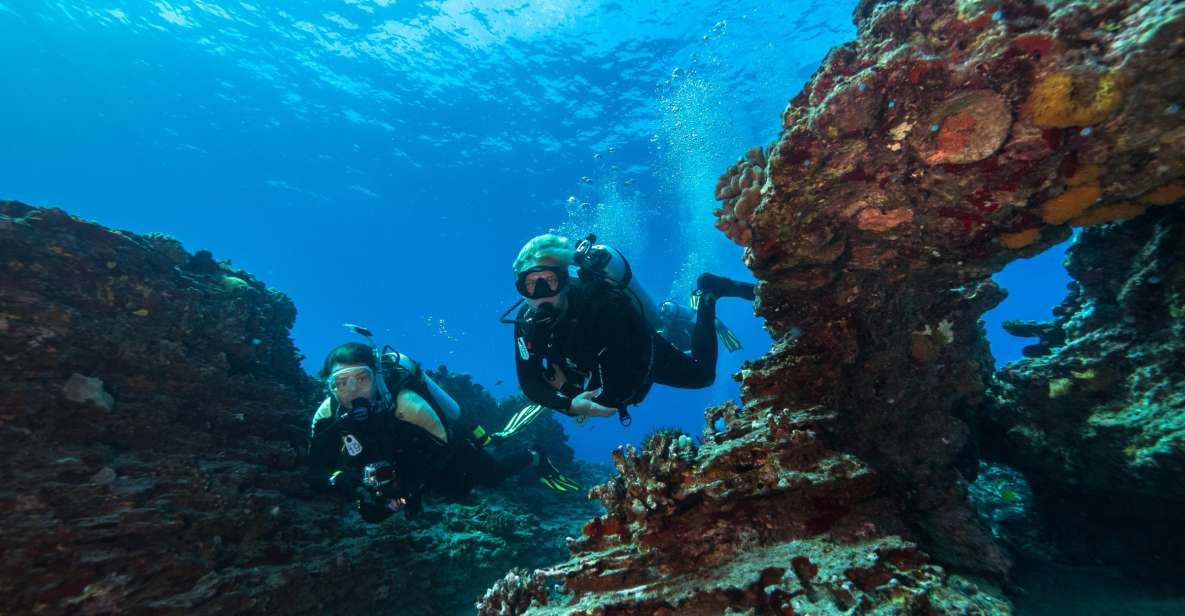 Oahu: Shallow Reef Scuba Dive for Certified Divers - Inclusions