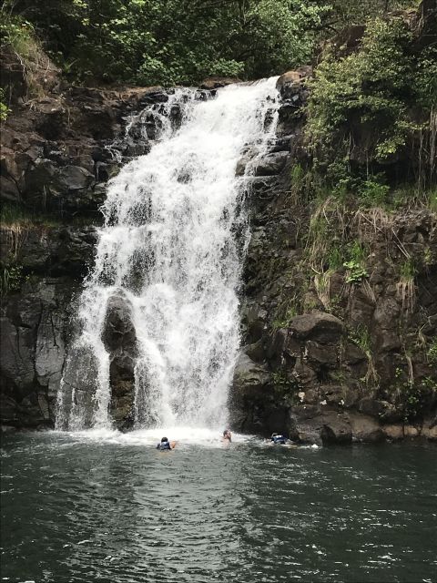 Oahu: Waimea Falls & North Shore Swim With Turtles Beach Day - Experience Highlights