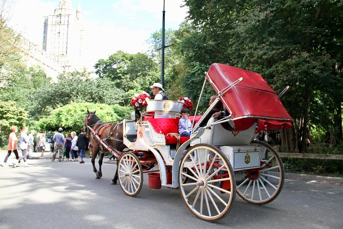 Official NYC Horse Carriage Rides in Central Park Since 1979 ™ - Unique Features of Carriage Rides