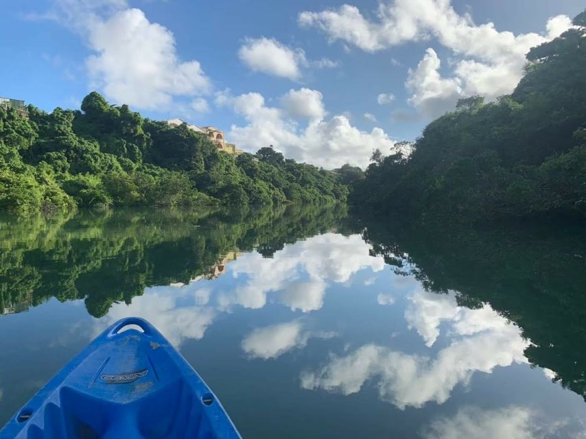 Okinawa: Mangrove Kayaking Tour - Mangrove Ecosystem