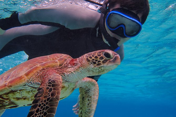 Okinawa Miyako 1 Day Pumpkin Limestone Caving & Sea Turtle Snorkeling - Inclusions and Amenities