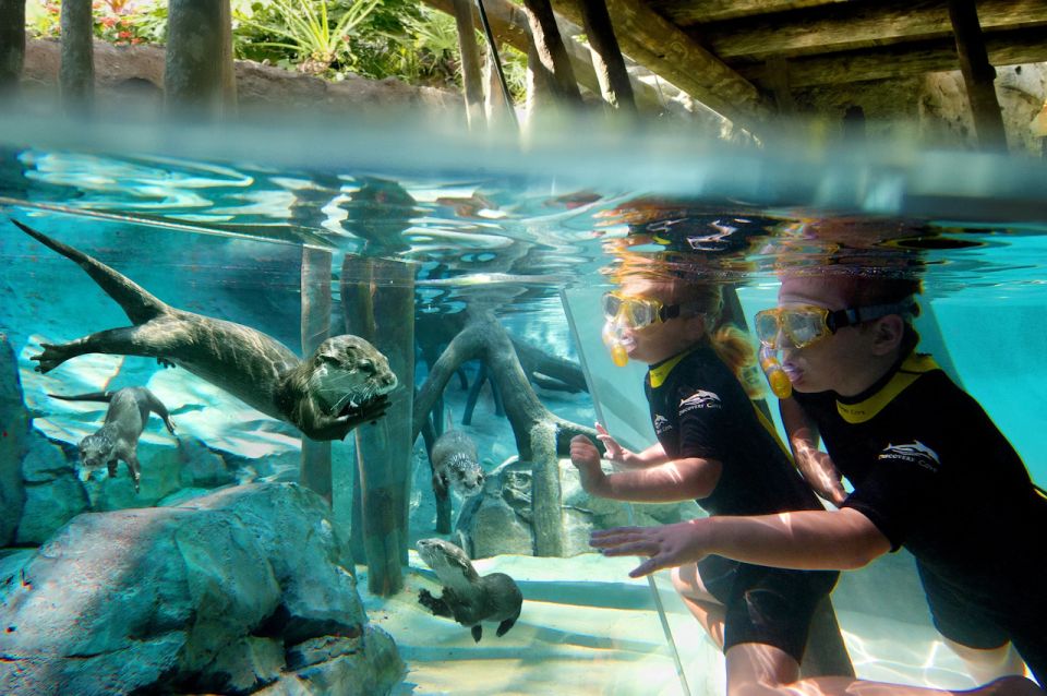 Orlando: Discovery Cove Admission Ticket & Additional Parks - Ticket Details