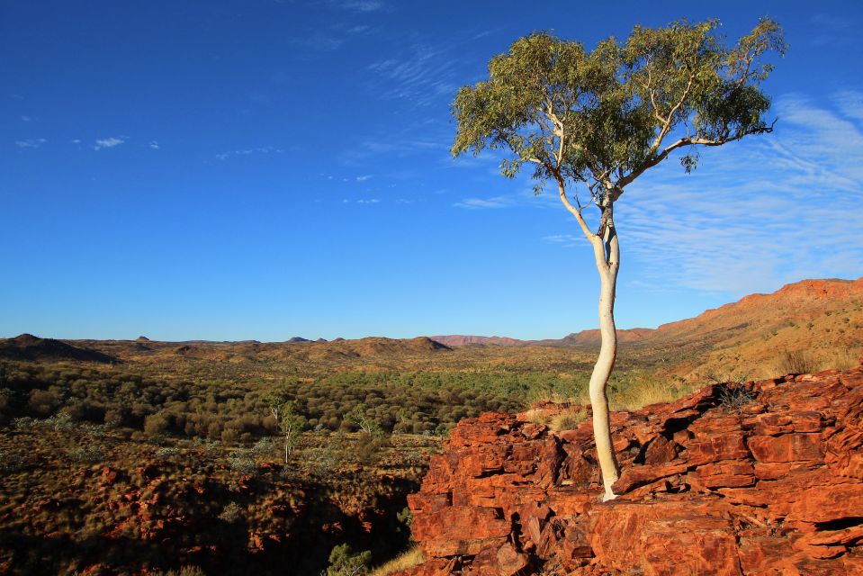 Outback Adventure: A Self-Guided Driving Tour - Audio Guide and Cancellation Policy