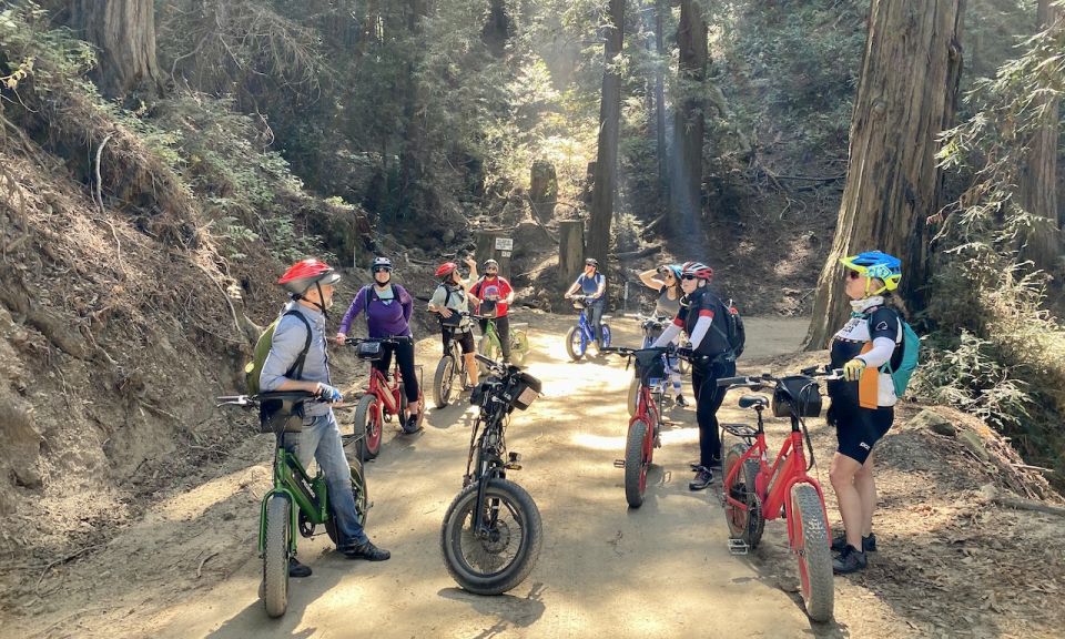 Pacific Grove: Old Coast Road E-Bike Tour - Highlights of the Tour