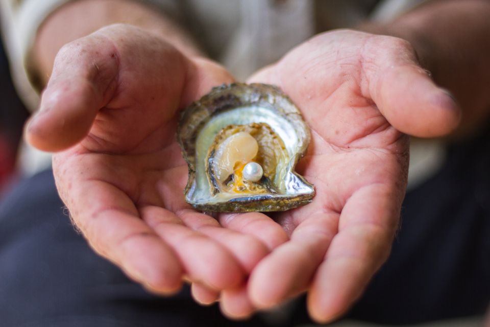 Pearl Grading at Broken Bay - Pricing and Duration Details