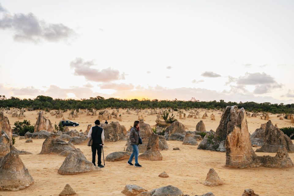 Perth: Pinnacle Desert Sunset and Stargazing With Dinner - Activity Highlights