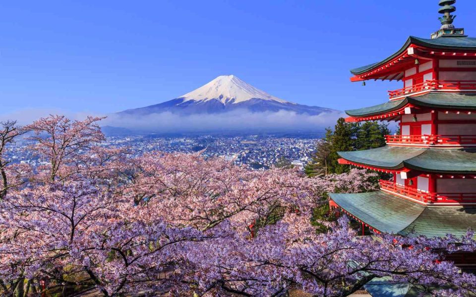 Private Day Trip to Mt. Fuji & Hakone Cherry Blossoms - Experience Mt. Fujis Grandeur