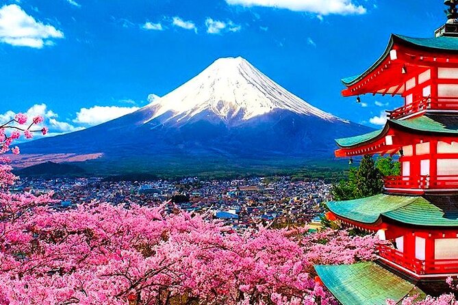 Private Mount Fuji and Hakone Sightseeing Day Trip With Guide - Pickup Details