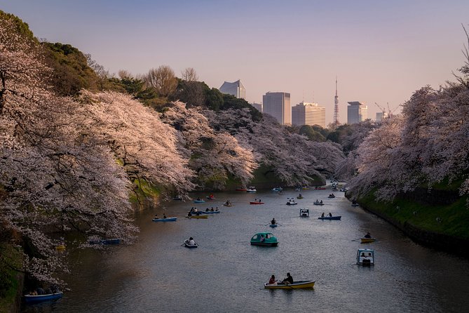 Private Tokyo Photography Walking Tour With a Professional Photographer - Whats Included