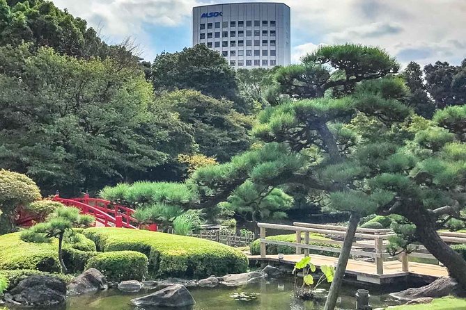Private Tour Explore the Four Seasons in Hidden Spots in Akasaka - Strolling Through Shimizudani Park