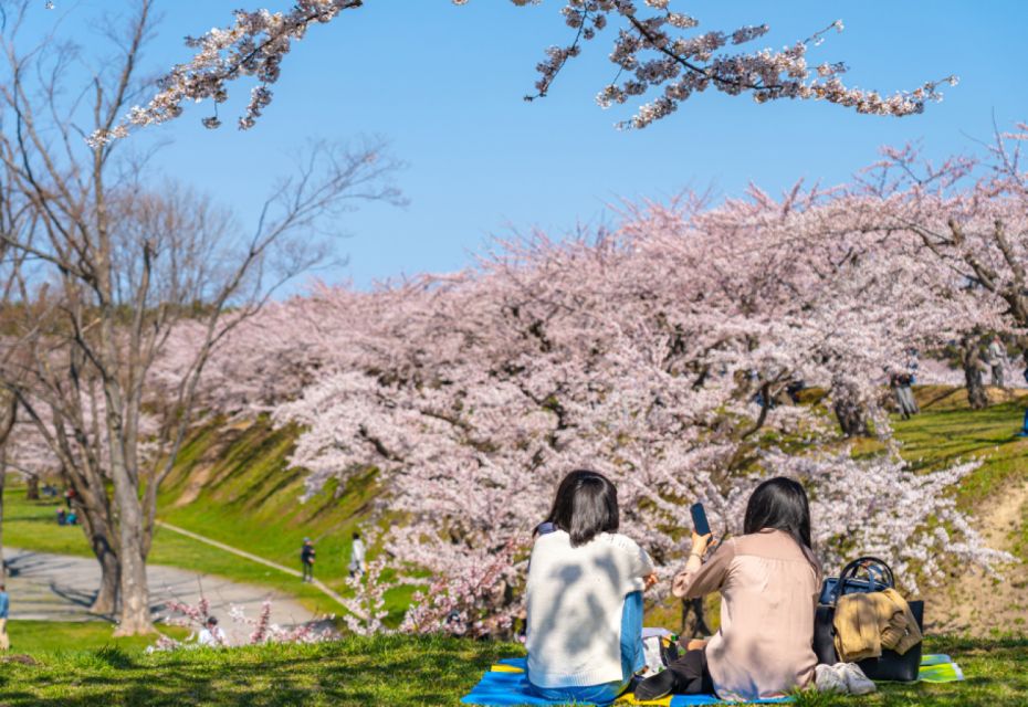 Private & Unique Nagasaki Cherry Blossom Sakura Experience - Itinerary Highlights