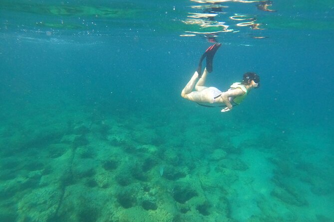 Public Guided Snorkel Tour of Fort Lauderdale Reefs - What To Expect