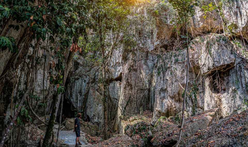 Queensland: 90 Minute Capricorn Caves Explorer Tour - Tour Highlights