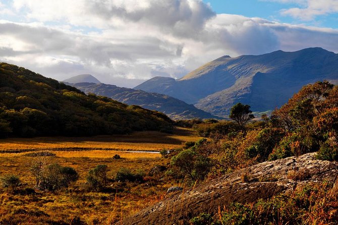 Ring of Kerry Day Tour From Cork: Including Killarney National Park - Highlights
