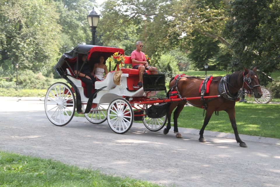 Romantic/Proposal Central Park Carriage Tour Up to 4 Adults - Key Features of the Experience