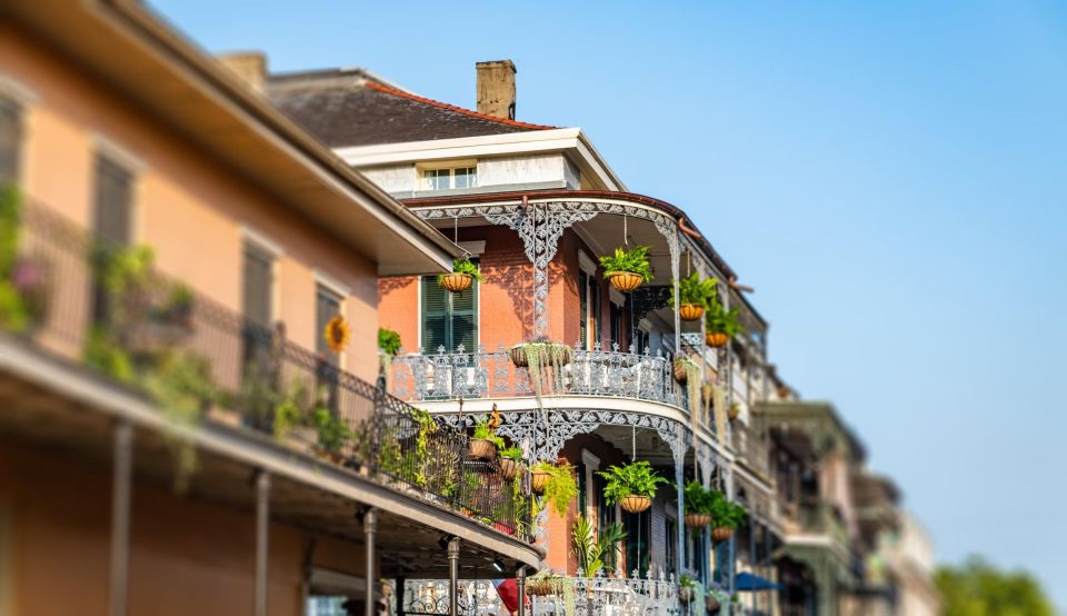 Romantic Rendezvous: A Love-Filled Journey in New Orleans - Activities & Itinerary